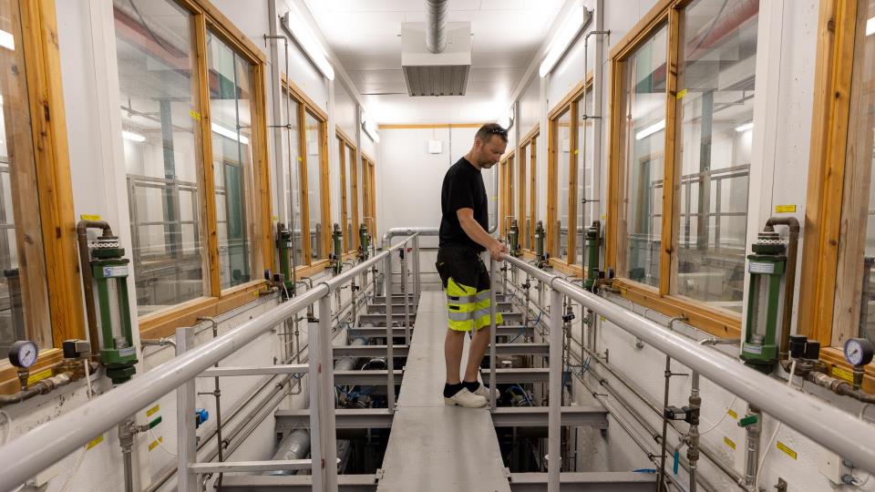 Lenke til artikkel: Normal vannproduksjon i Tavlåa igjen